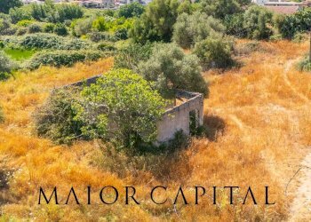 Foto 10 - Rustico Via Fiume
 
snc, Torpè - foto 10