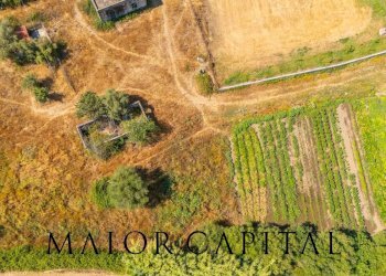 Foto 14 - Rustico Via Fiume
 
snc, Torpè - foto 14