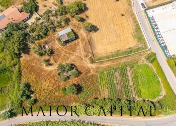 Foto 15 - Rustico Via Fiume
 
snc, Torpè - foto 15