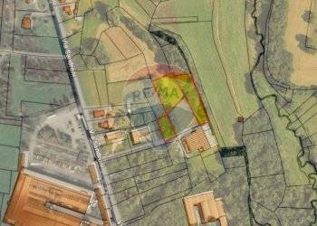 Pianta 2D - Terreno agricolo Sumirago - foto 6