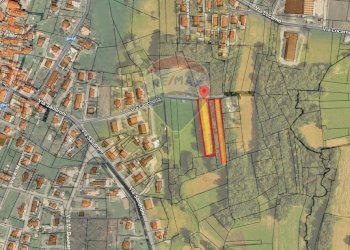 Pianta 2D - Terreno agricolo Sumirago - foto 2