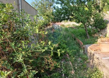 Giardino - Appartamento via Gulfi
 
176, Chiaramonte Gulfi - foto 25