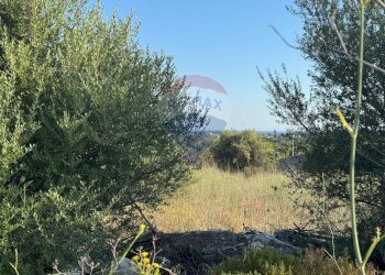 Giardino - Terreno edificabile Via delle industrie
 
10, Modica - foto 1