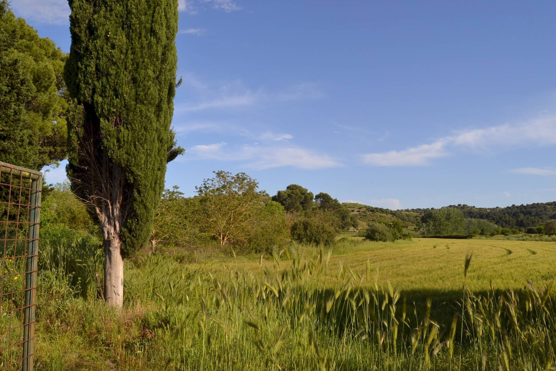 Vista delle montagne - Agricultural land C.da Interdulla - Cava dei servi
 
s.n., Rosolini - photo 3