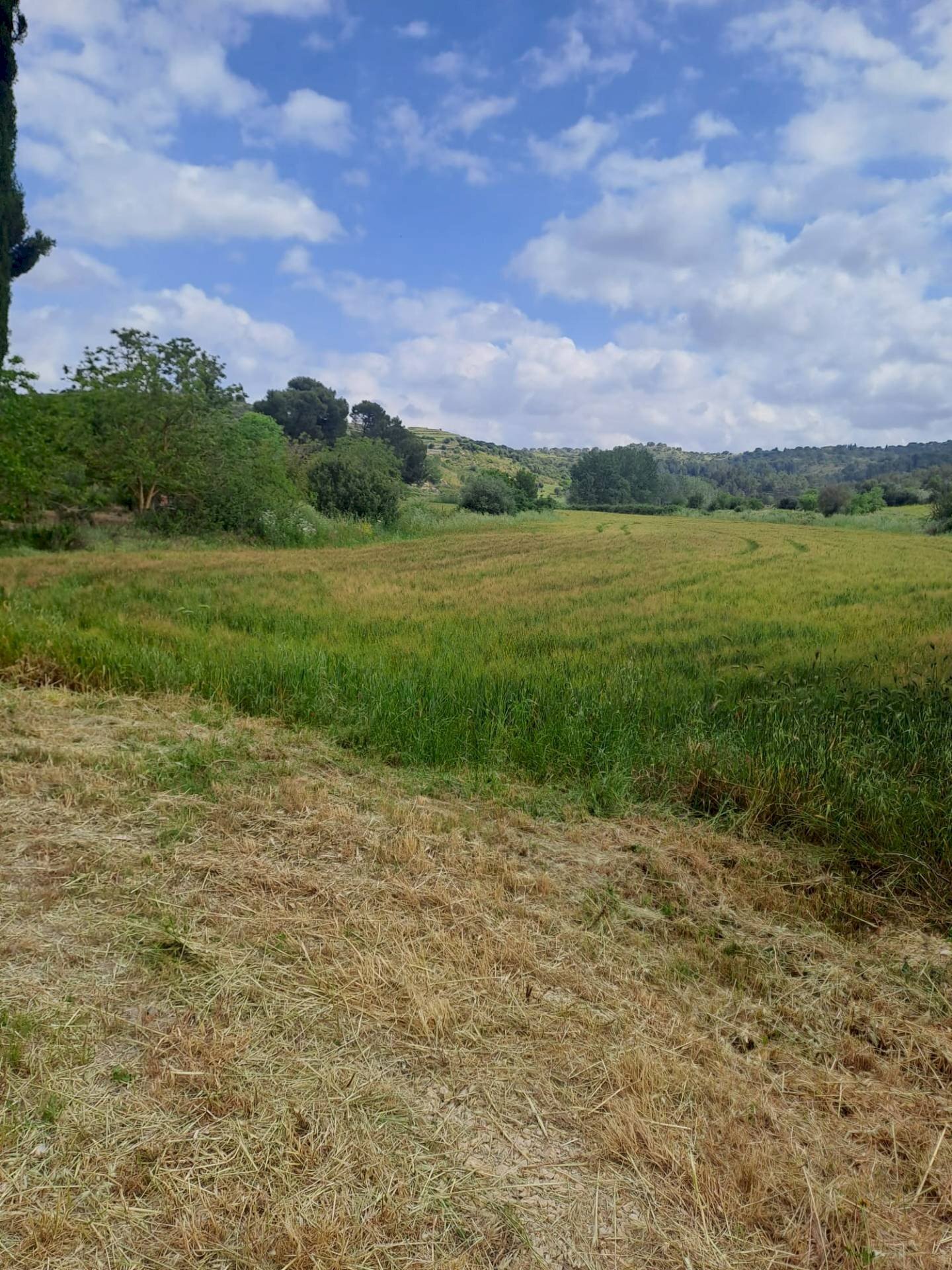 Vista delle montagne - Agricultural land C.da Interdulla - Cava dei servi
 
s.n., Rosolini - photo 1