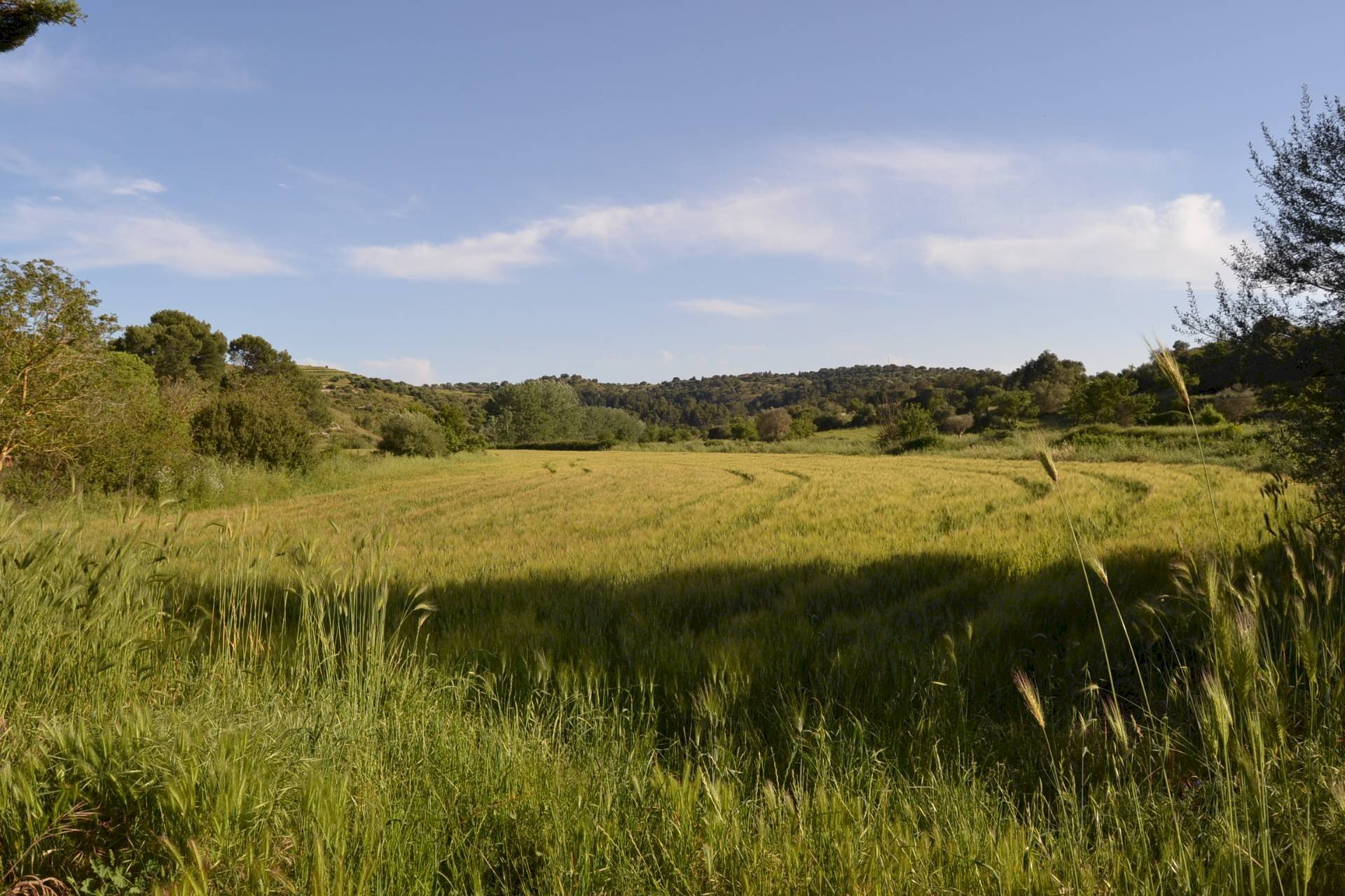 Vista delle montagne - Terreno agricolo C.da Interdulla - Cava dei servi
 
s.n., Rosolini - foto 1