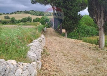 Giardino - Agricultural land C.da Interdulla - Cava dei servi
 
s.n., Rosolini - photo 2