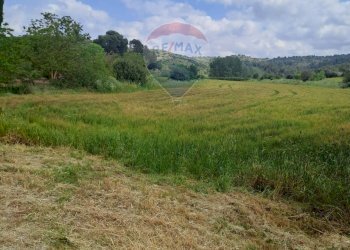Vista delle montagne - Agricultural land C.da Interdulla - Cava dei servi
 
s.n., Rosolini - photo 4
