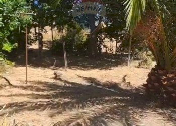 Giardino - Agricultural land C.da Interdulla - Cava dei servi
 
s.n., Rosolini - photo 9