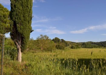 Vista delle montagne - Agricultural land C.da Interdulla - Cava dei servi
 
s.n., Rosolini - photo 3