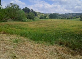 Vista delle montagne - Agricultural land C.da Interdulla - Cava dei servi
 
s.n., Rosolini - photo 1
