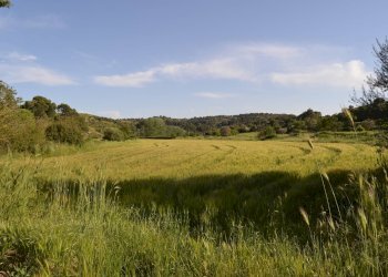 Vista delle montagne - Agricultural land C.da Interdulla - Cava dei servi
 
s.n., Rosolini - photo 12