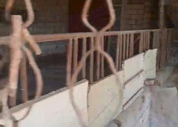 Dettagli - Agricultural land C.da Interdulla - Cava dei servi
 
s.n., Rosolini - photo 20