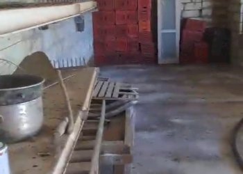 Dispensa di stoccaggio - Agricultural land C.da Interdulla - Cava dei servi
 
s.n., Rosolini - photo 21