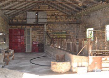 Non correlato - Agricultural land C.da Interdulla - Cava dei servi
 
s.n., Rosolini - photo 23