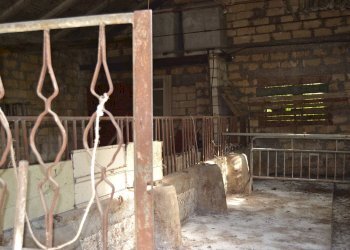 Dettagli - Agricultural land C.da Interdulla - Cava dei servi
 
s.n., Rosolini - photo 24