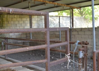 Dispensa di stoccaggio - Agricultural land C.da Interdulla - Cava dei servi
 
s.n., Rosolini - photo 25