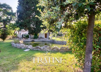 Foto 32 - Attività Commerciale Via Nazionale
 
259, Giulianova - foto 32