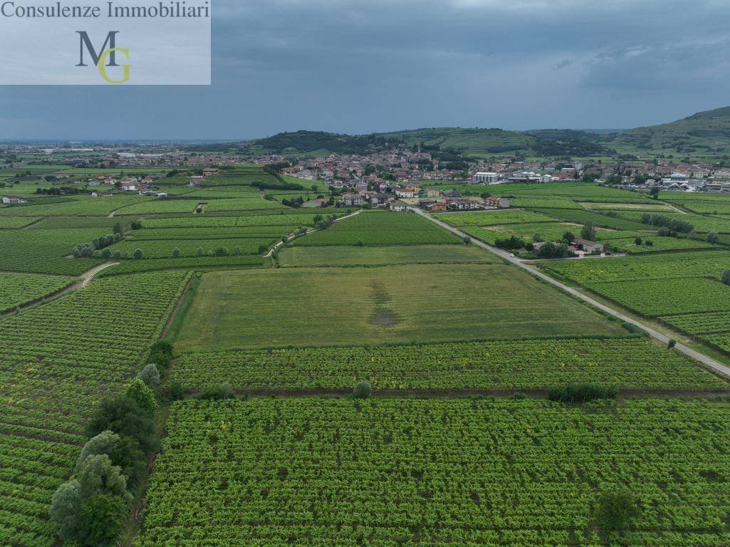 Foto 2 - Agricultural land Monteforte d'Alpone - photo 2