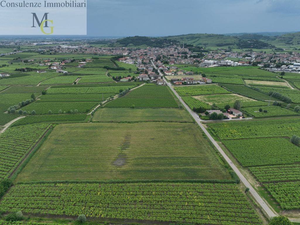 Foto 3 - Agricultural land Monteforte d'Alpone - photo 3