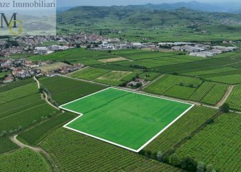 Foto 1 - Terreno agricolo Monteforte d'Alpone - foto 1