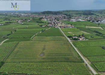 Foto 3 - Terreno agricolo Monteforte d'Alpone - foto 3