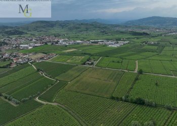 Foto 6 - Terreno agricolo Monteforte d'Alpone - foto 6