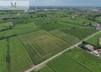 Foto 7 - Terreno agricolo Monteforte d'Alpone - foto 7