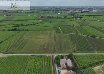 Foto 8 - Terreno agricolo Monteforte d'Alpone - foto 8