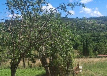 Foto 17 - Casa semi indipendente via della torre e tartiglia
 
16, Castel San Niccolò - foto 17