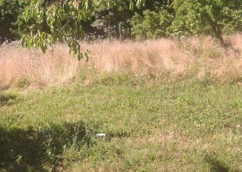 Foto 22 - Casa semi indipendente via della torre e tartiglia
 
16, Castel San Niccolò - foto 22