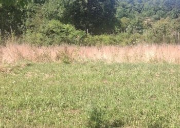 Foto 24 - Casa semi indipendente via della torre e tartiglia
 
16, Castel San Niccolò - foto 24