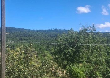 Foto 25 - Casa semi indipendente via della torre e tartiglia
 
16, Castel San Niccolò - foto 25