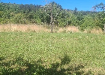 Foto 26 - Casa semi indipendente via della torre e tartiglia
 
16, Castel San Niccolò - foto 26