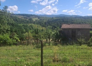 Foto 32 - Casa semi indipendente via della torre e tartiglia
 
16, Castel San Niccolò - foto 32