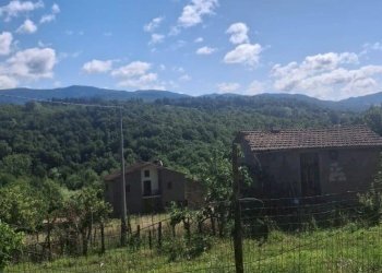 Foto 33 - Casa semi indipendente via della torre e tartiglia
 
16, Castel San Niccolò - foto 33