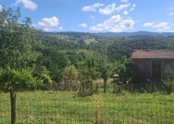 Foto 34 - Casa semi indipendente via della torre e tartiglia
 
16, Castel San Niccolò - foto 34