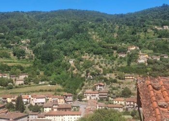 Foto 8 - Quadrilocale VIA DEL CASTELLO
 
89, Castel San Niccolò - foto 8