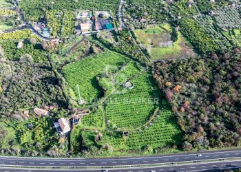 Foto 8 - Terreno agricolo via patellazza, Santa Venerina - foto 8