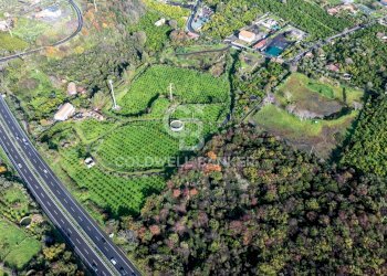 Foto 9 - Terreno agricolo via patellazza, Santa Venerina - foto 9