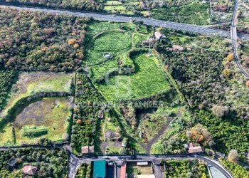 Foto 10 - Terreno agricolo via patellazza, Santa Venerina - foto 10