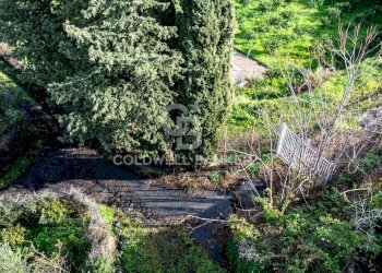 Foto 17 - Terreno agricolo via patellazza, Santa Venerina - foto 17