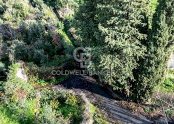 Foto 18 - Terreno agricolo via patellazza, Santa Venerina - foto 18