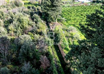 Foto 19 - Terreno agricolo via patellazza, Santa Venerina - foto 19