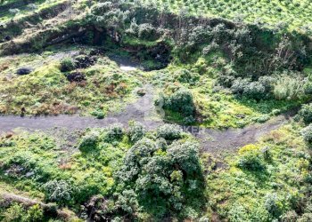 Foto 20 - Terreno agricolo via patellazza, Santa Venerina - foto 20