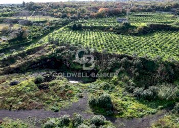 Foto 21 - Terreno agricolo via patellazza, Santa Venerina - foto 21