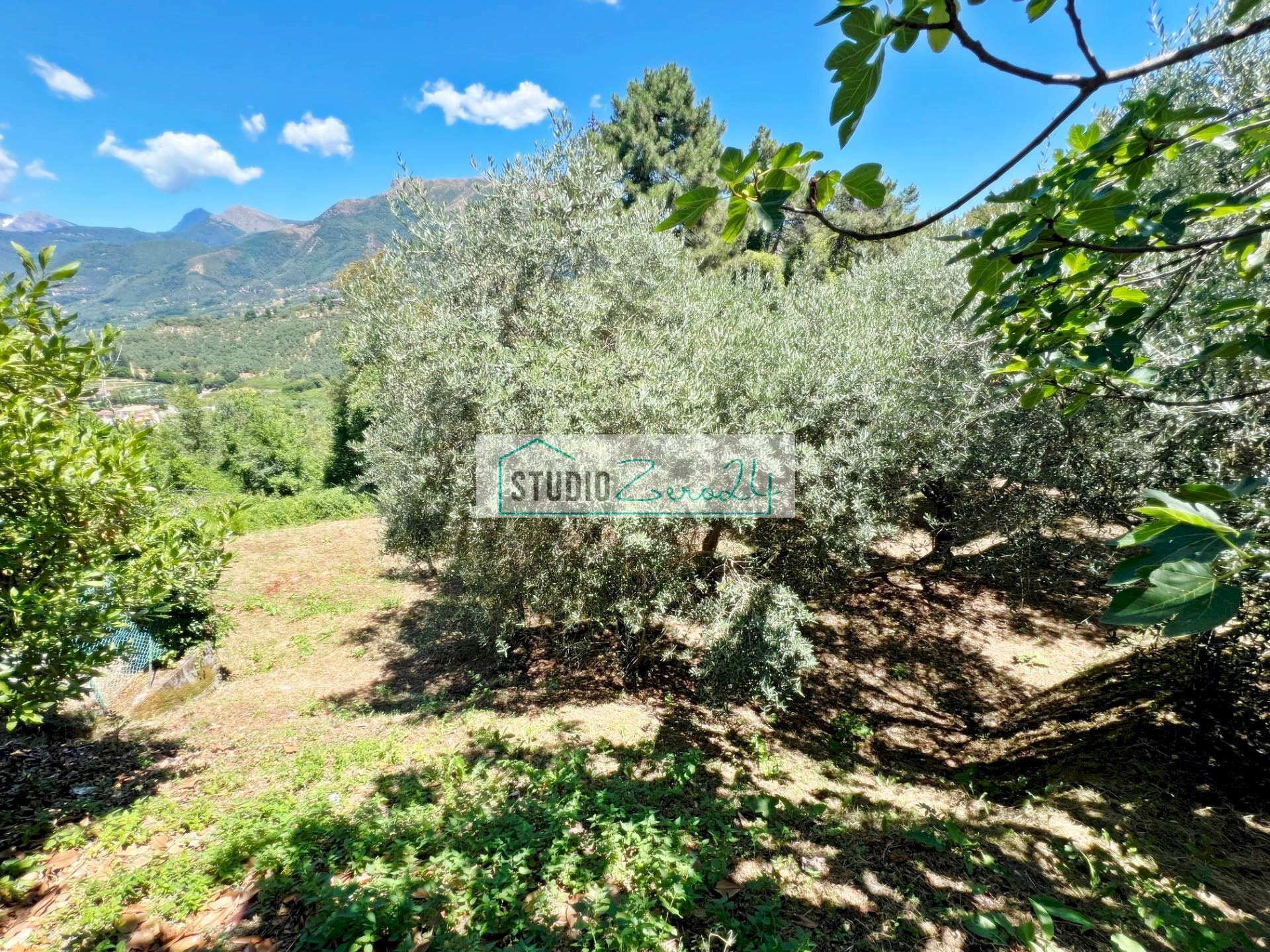 Foto 2 - Terreno edificabile via vecchia provinciale, Camaiore - foto 2