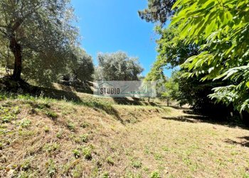 Foto 5 - Terreno edificabile via vecchia provinciale, Camaiore - foto 5