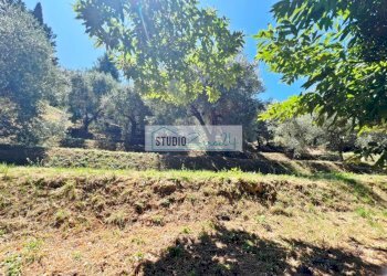 Foto 6 - Terreno edificabile via vecchia provinciale, Camaiore - foto 6