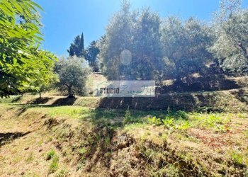 Foto 7 - Terreno edificabile via vecchia provinciale, Camaiore - foto 7